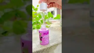 🌿 Plix &ndash; Plant-Powered Wellness, Redefined! 🌿 #plixlife #clearnutrition