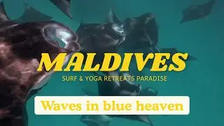 Maldives surf camp