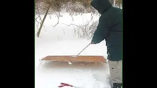 Winter Herping!!!! - CrittaCam
