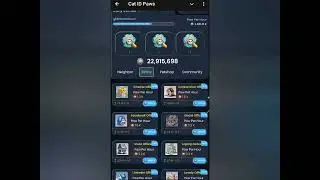 SEPT 14TH CAT ID PAWS COIN COMBO GUIDE STEP BY STEP