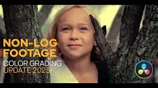 Color Grading for beginners in Davinci Resolve 18