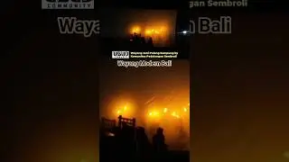 Современный балийский ваянг № 15