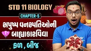 Std 11 Biology Ch 5  સપુષ્પ વનસ્પતિઓની બાહ્યાકારવિદ્યા🌱 | ફળ & બીજ | Easy Explanation
