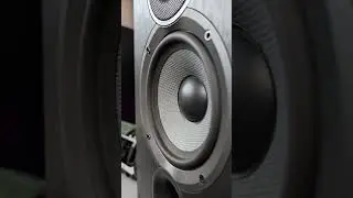 JBL Charge 6 Connected to ELAC Speakers #jblcharge5 #jblcharge6 #jbl #portablespeaker