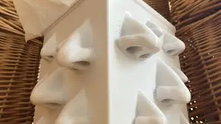 Nose Box