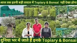 घर बैठे मंगाए जबरदस्त Bonsai और Topiary प्लांट 😲100+ Designs फैक्ट्री रेटों पर डिज़ाइनर Exotic पौधे