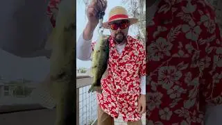 Best way to unwind after work #fishing #bassfishing #bass #outdoors #bassangler