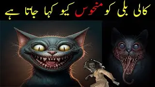 Unpacking the Controversy Behind Black Cats: Why Do Some People Dislike Them? Hindi Urdu
