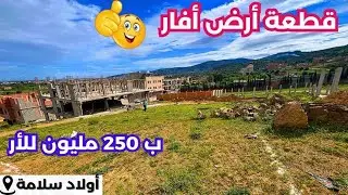 ✔️تم بيع ✔️قطعة_أرض  في اولاد سلامة البليدة🇩🇿 بعقد ملكية✅
