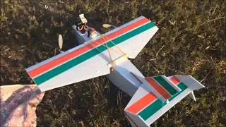 RC Twin motor cargo plane with a gimbal