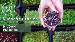 How Hildan Produce Took Control of Their Sales with Data