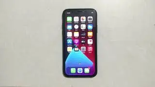 How To Disable Mobile Data Access For An Application In IPhone X