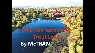 Một Chiều Thu Ở Hồ Trout Lake - M&ugrave;a Thu Vancouver. Landscapes Photography, Vancouver Autumn McTRAN