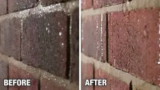 Raincheck Universal Water Seal