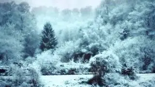 Paul Minesweeper - Frost Flower
