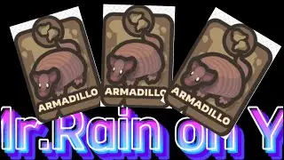 [Taming.io] armadillo  x3
