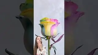 Color Changing Rose 🌹 I see this for the first time #lifehacks #hacks #experiment #asmr