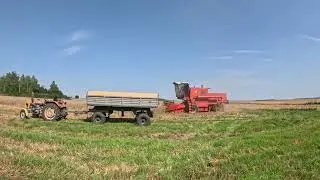 PODSUMOWANIE SEZONU 2025 z Gr Ursus