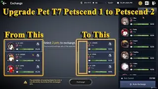 Black Desert Mobile | WHAT!? 1tapped!? - Upgrade Pet T7 Petscend 1 to Petscend 2!!!