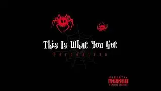 This Is What You Get - Perception