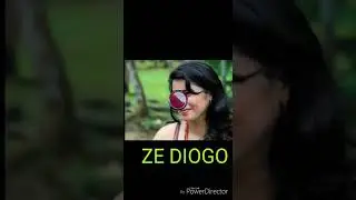 Ze diogo o vigilante apaixonado