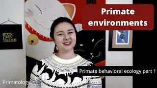 Primate environments