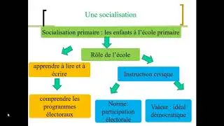 La participation politique conventionnelle