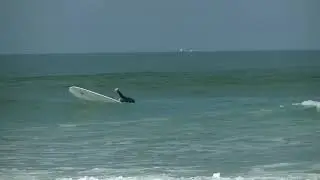 Surf'n Progress 3 juin 2018