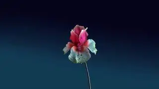 Flume   Jewel PROPER