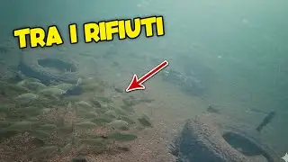 Ho immerso il DRONE SUBACQUEO nel lago: Guardate cosa c&rsquo;era sotto 😱