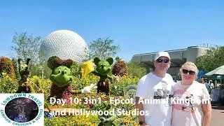 3 в 1: Epcot, Animal Kingdom и Hollywood Studios — день 10