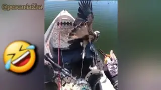 VÍDEOS ENGRAÇADOS DE PESCARIA. tente não rir #7