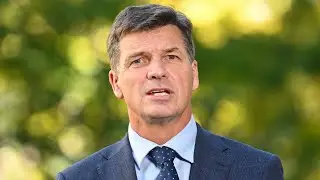 &lsquo;The numbers, as always, matter&rsquo;: Angus Taylor aims for Liberal leadership position