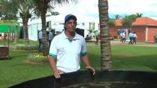 Momento do Peixe - BIOFLOCO