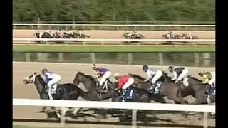 2015 Fantasy Stakes