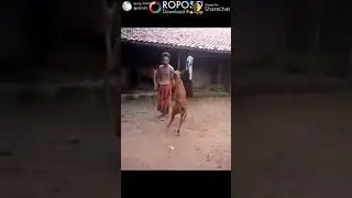 Punya koti
