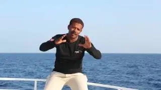 eDive360.com Interview with diving.de about Elphinstone Reef EN