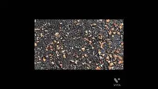 How To find grasshoppers￼