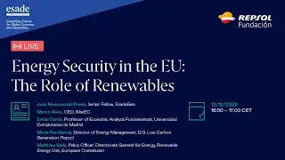 Energy Security in the EU: The Role of Renewables