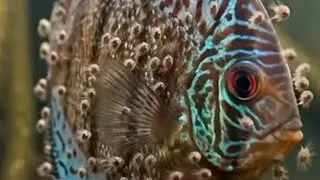 🔴 HARI SENIN YG SANGAT............ KEADAAN