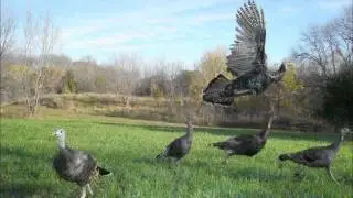 Cool Pictures Trail Camera Contest 2012