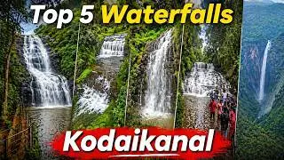 Top 5 Waterfalls to Visit in Kodaikanal | Popular Waterfalls in Kodaikanal