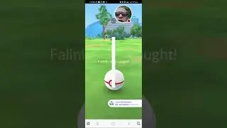 Catching The New Shiny Falinks From The Raid Day.