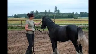 Melodyn treenaus pv&auml; 1
