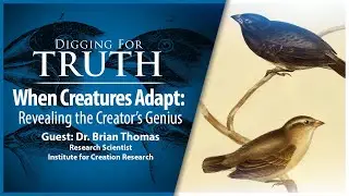 When Creatures Adapt-Revealing the Creator's Genius: Digging for Truth Episode 208