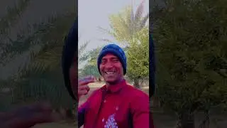 Guja log ahamed their cannan heater , active philipping that come arrive , but ninety