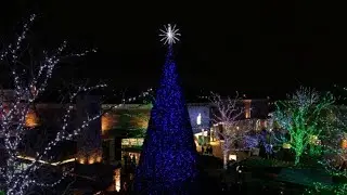 Days of Giving: Partridge Creek  on Live in the D