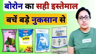 बोरोन का सही इस्तेमाल | BORON | 20%boron | water soluble boron fertilizer | benefits of boron