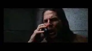 Tom Cruise Screams