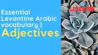comprehensive guide to Adjectives In Spoken Arabic -  what you should know about adjectives